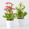 2-delige Set: Decoratieve Planten "Belli" Roze/wit - (H)30 X Ø 9 Cm -Boltze boltze 2 delige set decoratieve planten belli roze wit h 30 x o 9 cm