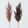 2-delige Set: Decoratieve Takken "Pampasgras" Bruin - (B)12 X (H)95 Cm -Boltze boltze 2 delige set decoratieve takken pampasgras bruin b 12 x h 95 cm