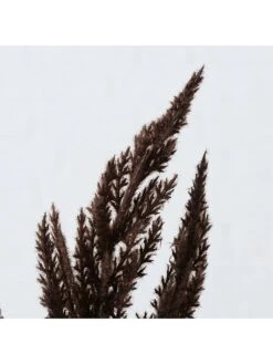 2-delige Set: Decoratieve Takken "Pampasgras" Bruin - (B)12 X (H)95 Cm -Boltze boltze 2 delige set decoratieve takken pampasgras bruin b 12 x h 95 cm 2