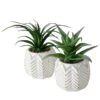 2-delige Set: Kunstplanten "Aloe" Groen - (H)14 Cm -Boltze boltze 2 delige set kunstplanten aloe groen h 14 cm