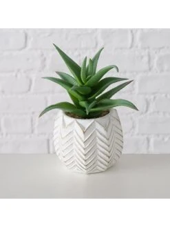 2-delige Set: Kunstplanten "Aloe" Groen - (H)14 Cm -Boltze boltze 2 delige set kunstplanten aloe groen h 14 cm 2