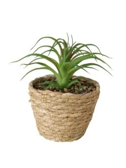 2-delige Set: Kunstplanten "Aloe" Groen - (H)20 X Ø 13 Cm -Boltze boltze 2 delige set kunstplanten aloe groen h 20 x o 13 cm 1