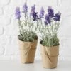 2-delige Set: Kunstplanten "Lavendel" Paars - (H)32 Cm -Boltze boltze 2 delige set kunstplanten lavendel paars h 32 cm