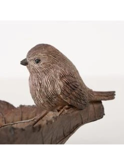 2-delige Set: Vogeldrinkbakken "Mirena" Bruin - (B) 25 Cm -Boltze boltze 2 delige set vogeldrinkbakken mirena bruin b 25 cm 4