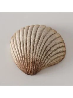 3-delige Set: Schelpen "Bigo" Beige - (B)10 X (H)5 X (D)6 Cm -Boltze boltze 3 delige set schelpen bigo beige b 10 x h 5 x d 6 cm 3