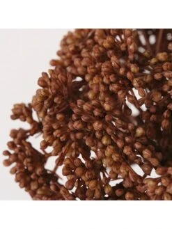 3-delige Set: Steelbloemen Bruin/lichtbruin - (L)35 Cm -Boltze boltze 3 delige set steelbloemen bruin lichtbruin l 35 cm 2