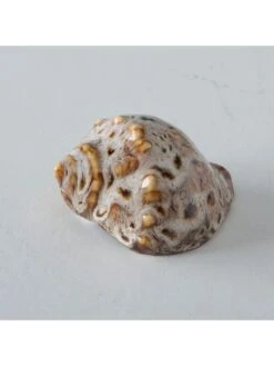 4-delge Set: Schelpen Crème/bruin - (H)4 Cm -Boltze boltze 4 delge set schelpen creme bruin h 4 cm 2