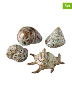 4-delge Set: Schelpen Crème/bruin - (H)4 Cm