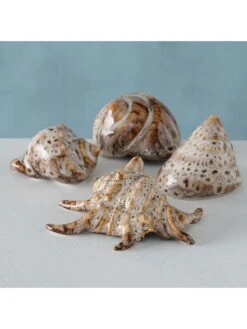 4-delge Set: Schelpen Crème/bruin - (H)4 Cm -Boltze boltze 4 delge set schelpen creme bruin h 4 cm 6