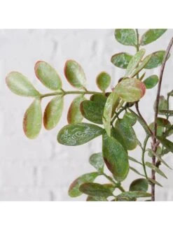 Decoratieve Bloem "Blad" Groen - (B)94 X (H)20 Cm -Boltze boltze decoratieve bloem blad groen b 94 x h 20 cm 1