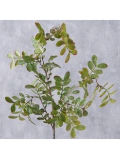 Decoratieve Bloem "Blad" Groen - (B)94 X (H)20 Cm -Boltze boltze decoratieve bloem blad groen b 94 x h 20 cm 3