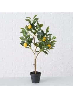 Kunstplant "Citroenboompje" Groen - (B)30 X (H)73 X (D)20 Cm -Boltze boltze kunstplant citroenboompje groen b 30 x h 73 x d 20 cm 1