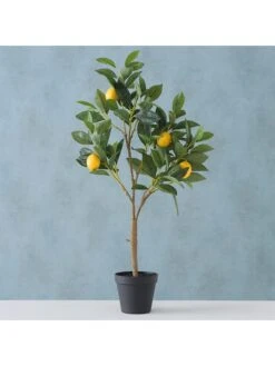Kunstplant "Citroenboompje" Groen - (B)30 X (H)73 X (D)20 Cm -Boltze boltze kunstplant citroenboompje groen b 30 x h 73 x d 20 cm 2