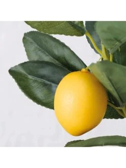 Kunstplant "Citroenboompje" Groen - (B)30 X (H)73 X (D)20 Cm -Boltze boltze kunstplant citroenboompje groen b 30 x h 73 x d 20 cm 3