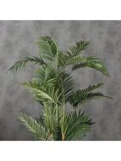 Kunstplant "Palmboom" Groen - (H)165 Cm -Boltze boltze kunstplant palmboom groen h 165 cm 2