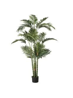 Kunstplant "Palmboom" Groen - (H)165 Cm