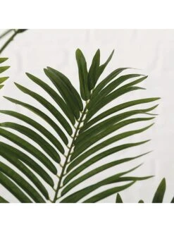 Kunstplant "Palmboom" Groen - (H)165 Cm -Boltze boltze kunstplant palmboom groen h 165 cm 3
