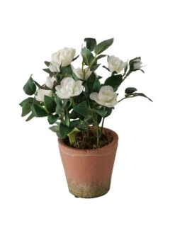 Kunstplant "Roos" Wit - (H)24 Cm