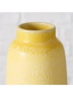 Vaas "Jerson" Geel - (H)17 X Ø 8 Cm -Boltze boltze vaas jerson geel h 17 x o 8 cm 2